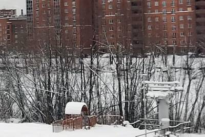 Девятилетняя россиянка прокатилась с горки и погибла - lenta.ru - Новосибирск - Амурская обл.