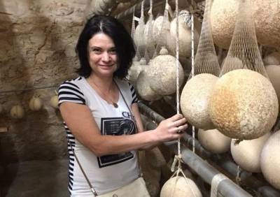 Стрессовий год заставил сыроварни мыслить нестандартно - agroportal.ua - Джерси