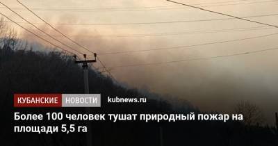 Более 100 человек тушат природный пожар на площади 5,5 га - kubnews.ru - Сочи