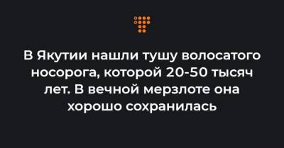 В Якутии нашли тушу волосатого носорога, которой 20-50 тысяч лет. В вечной мерзлоте она хорошо сохранилась - hromadske.ua - респ. Саха