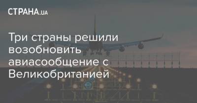 Три страны решили возобновить авиасообщение с Великобританией - strana.ua - Норвегия - Англия - Латвия
