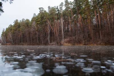 Красивые места Тамбовского района для прогулок и фотосессий - tambov.mk.ru - Тамбов - Тамбовская обл.