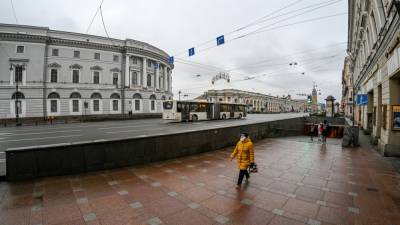 Названа сфера бизнеса в Петербурге, успешно преодолевшая 2020 год - riafan.ru - Санкт-Петербург