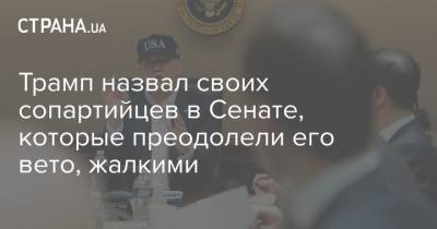 Дональд Трамп - Трамп назвал своих сопартийцев в Сенате, которые преодолели его вето, жалкими - strana.ua - США