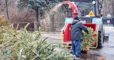 Петр Бирюков - В столице стартовала акция "Елочный круговорот" - m24.ru - Москва