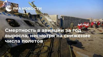 Смертность в авиации за год выросла, несмотря на снижение числа полетов - ria.ru - Москва - Украина - Иран