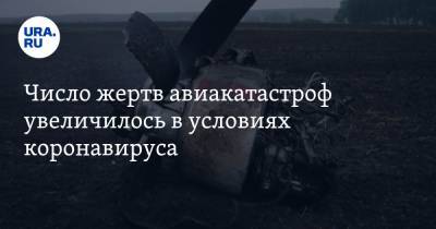 Число жертв авиакатастроф увеличилось в условиях коронавируса - ura.news - Иран - Стамбул