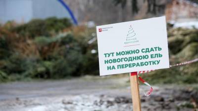 Петр Бирюков - В Москве началась акция по утилизации новогодних елей - iz.ru - Москва - Израиль