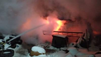 В Башкирии в первые дни нового года в пожарах умерли три человека - ufacitynews.ru - Башкирия - Уфа - район Белорецкий