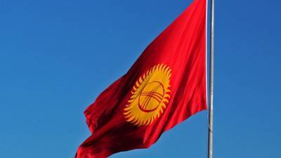 Кыргызстан начнет экспортировать соки в Китай - mir24.tv - Киргизия - Саудовская Аравия - Эмираты - Катар