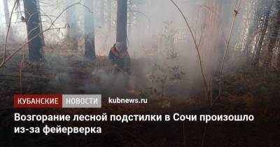 Вениамин Кондратьев - Возгорание лесной подстилки в Сочи произошло из-за фейерверка - kubnews.ru - Сочи - Краснодарский край - Краснодар - Геленджик