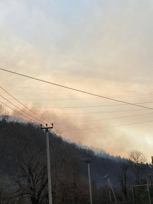 В окрестностях Сочи продолжают тушить крупный лесной пожар - nakanune.ru - Сочи - район Лазаревский