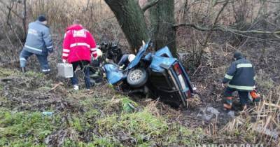 Выехал с дороги и врезался в дерево: под Попельней в результате ДТП погибли трое молодых мужчин - tsn.ua - Киев - Житомирская обл.