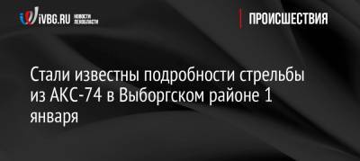 Стали известны подробности стрельбы из АКС-74 в Выборгском районе 1 января - ivbg.ru - Ленинградская обл. - р-н Выборгский