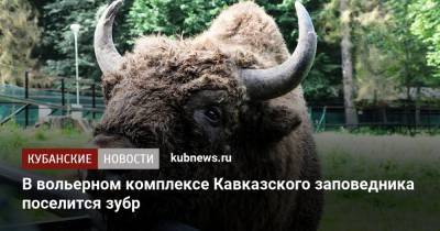В вольерном комплексе Кавказского заповедника поселится зубр - kubnews.ru - Московская обл. - респ. Адыгея