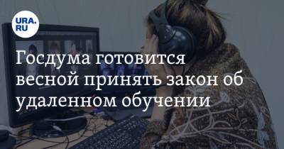 Валентин Матвиенко - Валерий Фальков - Госдума готовится весной принять закон об удаленном обучении - ura.news