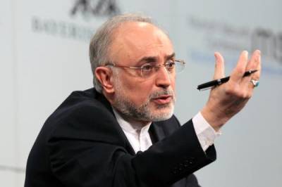 Хасан Рухани - Акбар Салехи - Иран возобновляет обогащение урана до 20-ти процентного состояния - argumenti.ru - Австрия - Иран - Тегеран - Вена
