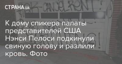 Дональд Трамп - Нэнси Пелоси - К дому спикера палаты представителей США Нэнси Пелоси подкинули свиную голову и разлили кровь. Фото - strana.ua - США - Сан-Франциско - шт. Калифорния