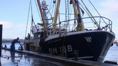 Недовольство британских рыбаков - ru.euronews.com - Россия - Англия - Лондон
