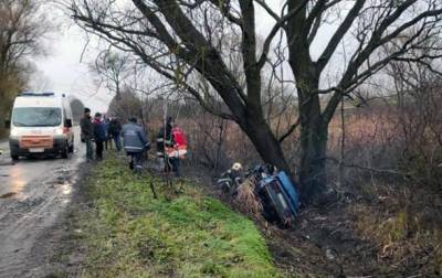 На Житомирщине авто слетело с дороги и врезалось в дерево, трое погибших - korrespondent.net - Украина - Житомирская обл.
