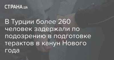 В Турции более 260 человек задержали по подозрению в подготовке терактов в канун Нового года - strana.ua - Турция