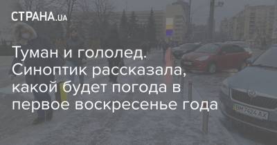 Наталья Диденко - Туман и гололед. Синоптик рассказала, какой будет погода в первое воскресенье года - strana.ua - Украина - Киев - Луганская обл.