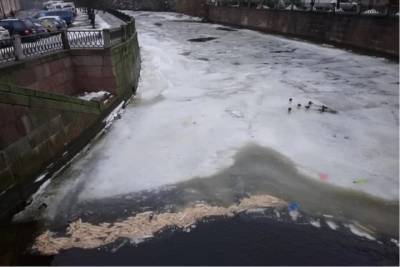 В реку Карповку выбросили около сотни французских багетов - spb.mk.ru - Петербурга