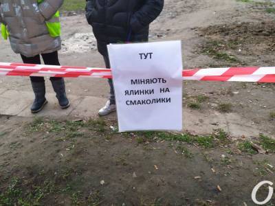 Елка в обмен на конфеты: в Одессе началась акция по сбору новогодних деревьев - odessa-life.od.ua - Украина - Одесса