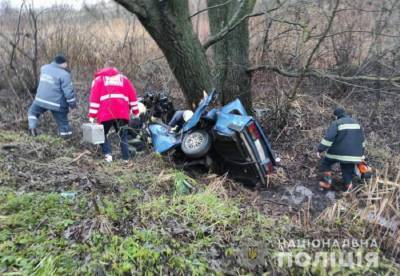 В результате ДТП в Житомирской области погибли три человека - ru.slovoidilo.ua - Житомирская обл.