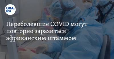 Переболевшие COVID могут повторно заразиться африканским штаммом - ura.news - Юар