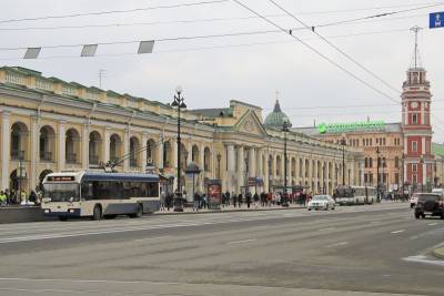 Вышедших на пикет в защиту зеленых зон задержали у Гостиного двора - neva.today - Санкт-Петербург