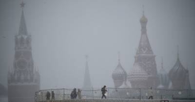 Евгений Тишковец - Москвичам пообещали потепление - moslenta.ru - Московская обл.