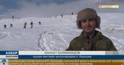 Жители Бадахшана спасают горных животных во время аномальных морозов - dialog.tj - Таджикистан