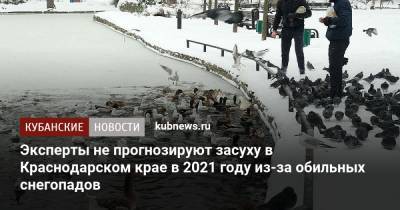 Александр Колесник - Эксперты не прогнозируют засуху в Краснодарском крае в 2021 году из-за обильных снегопадов - kubnews.ru - Краснодарский край