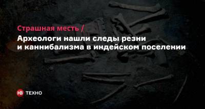 Страшная месть. Археологи нашли следы резни и каннибализма в индейском поселении - nv.ua - Мексика