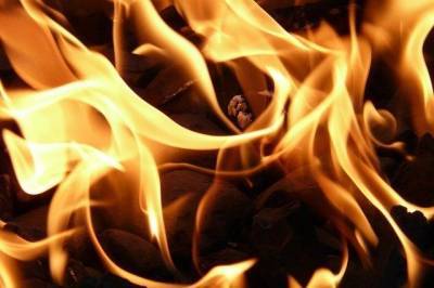 В Комсомольске задержали подростков, которые подожгли дом с собаками - hab.aif.ru - Хабаровский край - Комсомольск