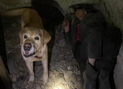 Лежал на трубах, слабел от голода: пропавшего под Новый год на Камчатке нашли в подвале - province.ru - Камчатский край - Владивосток