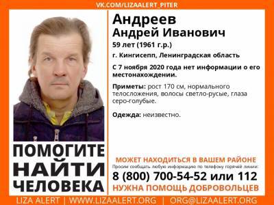 В Кингисеппе без вести пропал 59-летний мужчина - ivbg.ru - Ленобласть