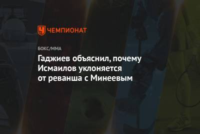 Магомед Исмаилов - Владимир Минеев - Александр Емельяненко - Камил Гаджиев - Гаджиев объяснил, почему Исмаилов уклоняется от реванша с Минеевым - championat.com