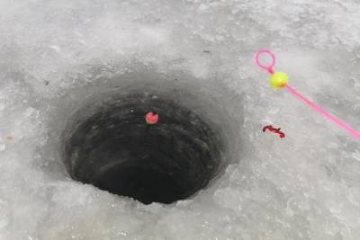 Два человека погибли в Смоленской области в январе на зимней рыбалке - mk-smolensk.ru - Смоленская обл. - Подольск