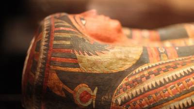 Захи Хавасс - В Египте обнаружили 54 саркофага, древние игры и маски - newdaynews.ru - Египет