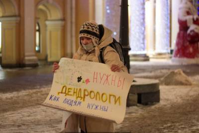 В Петербурге задержали участников пикетов в защиту экологии - spb.mk.ru - Санкт-Петербург