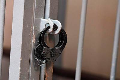 Владимир Шишков - Задержанный ФСБ подросток покончил с собой в изоляторе - lenta.ru - Челябинская обл. - Курган