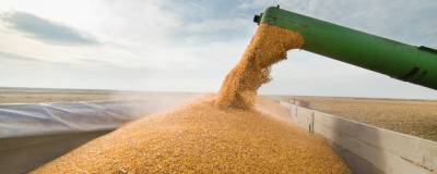 Максим Решетников - В России с 1 марта повысится экспортная пошлина на пшеницу - runews24.ru - с. 1 Марта