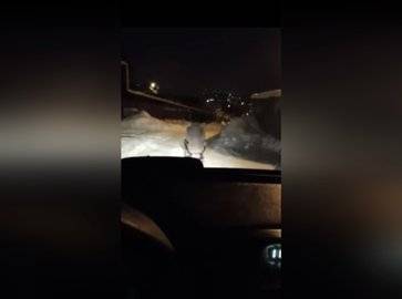 В Уфе мужчина заказал такси, чтобы спускаться с горки на санках, а подниматься на машине - ufacitynews.ru - Уфа