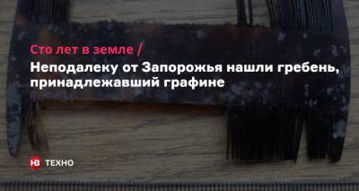 Сто лет в земле. Неподалеку от Запорожья нашли гребень, принадлежавший графине - nv.ua - Запорожье