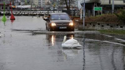 Зима погружается в спячку: в Германии ожидается до +14°С - germania.one - Берлин