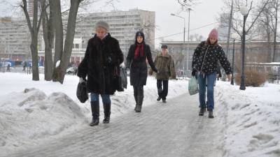 Евгений Тишковец - Желтый уровень опасности: в Москве ожидается ветер и метель - vesti.ru - Москва - Московская обл.