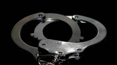 Экс-управляющий Нацбанком Мордовии задержан по делу о крупной взятке - nation-news.ru - республика Мордовия