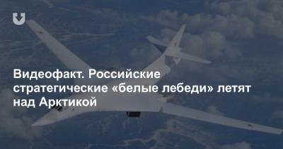 Видеофакт. Российские стратегические «белые лебеди» летят над Арктикой - news.tut.by - Россия